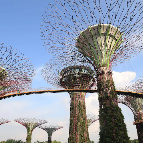 Cruises to Singapore